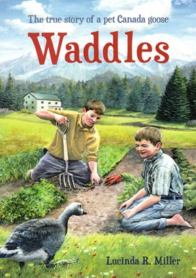 Waddles