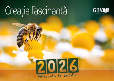 Creatia fascinanta 2026 - calendar