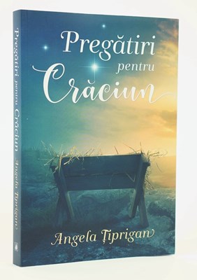 Pregătiri pentru Crăciun - Angela Țiprigan