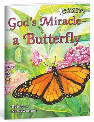 God’s Miracle – A Butterfly