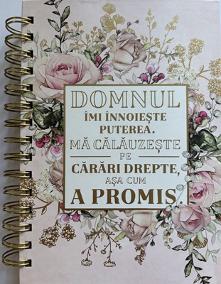 Jurnal: Domnul imi innoieste puterea, ma calauzeste pe carari drepte asa cum a promis