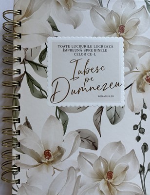 Jurnal: Toate lucrurile lucreaza impreuna spre binele celor ce-L iubesc pe Dumnezeu