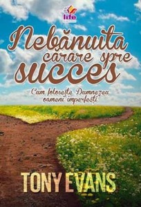 Nebanuita carare spre succes (paperback)