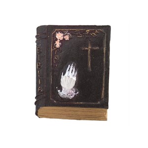 Magnet - Biblie