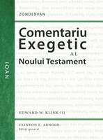 Comentariu exegetic al Noului Testament. Ioan