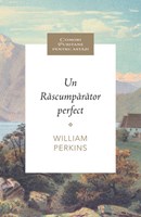 Un Rascumparator perfect
