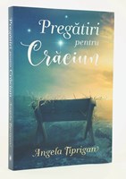 Pregătiri pentru Crăciun - Angela Țiprigan