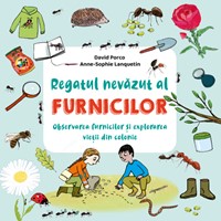 Regatul nevăzut al furnicilor