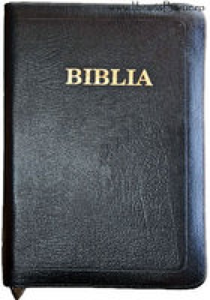 Biblia - format foarte mare, de lux, copertă piele şi fermoar, aurită, fără index
