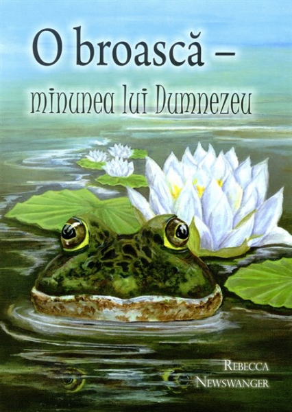 O broască, minunea lui Dumnezeu