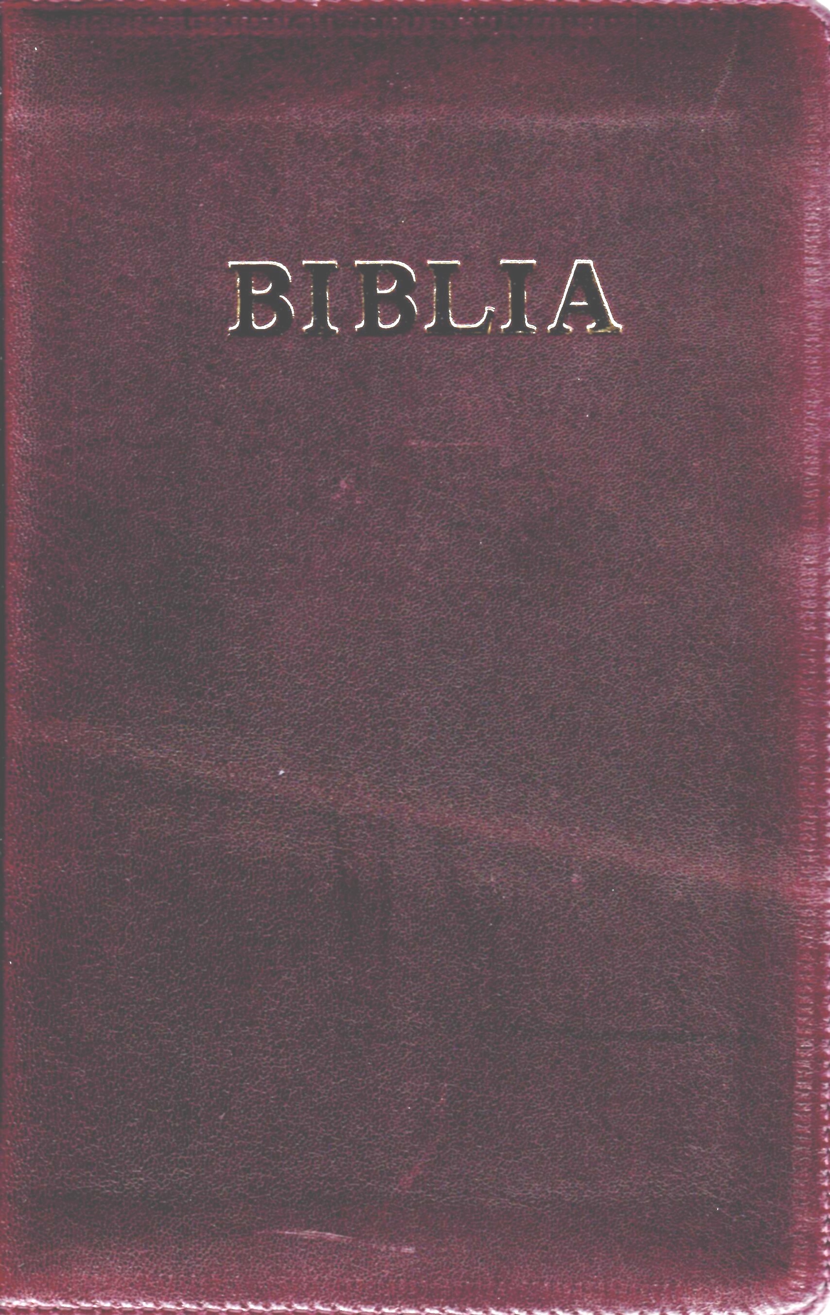 Biblia de studiu pentru copii cu coperta de piele si fermoar