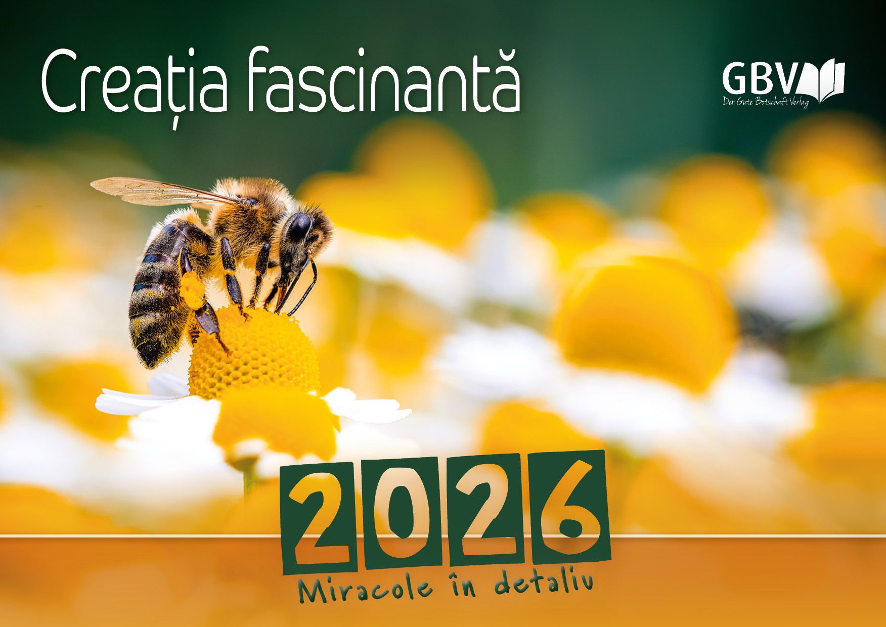 Creatia fascinanta 2026 - calendar