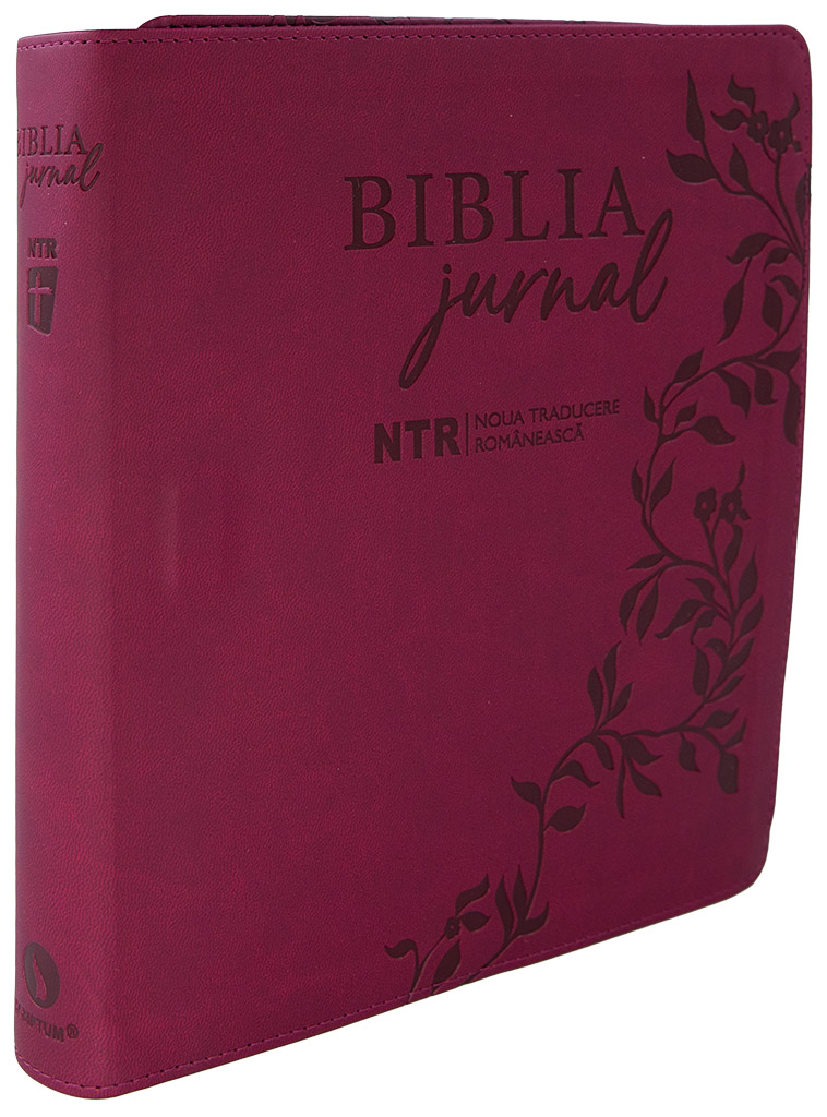 Biblia NTR jurnal - artistic