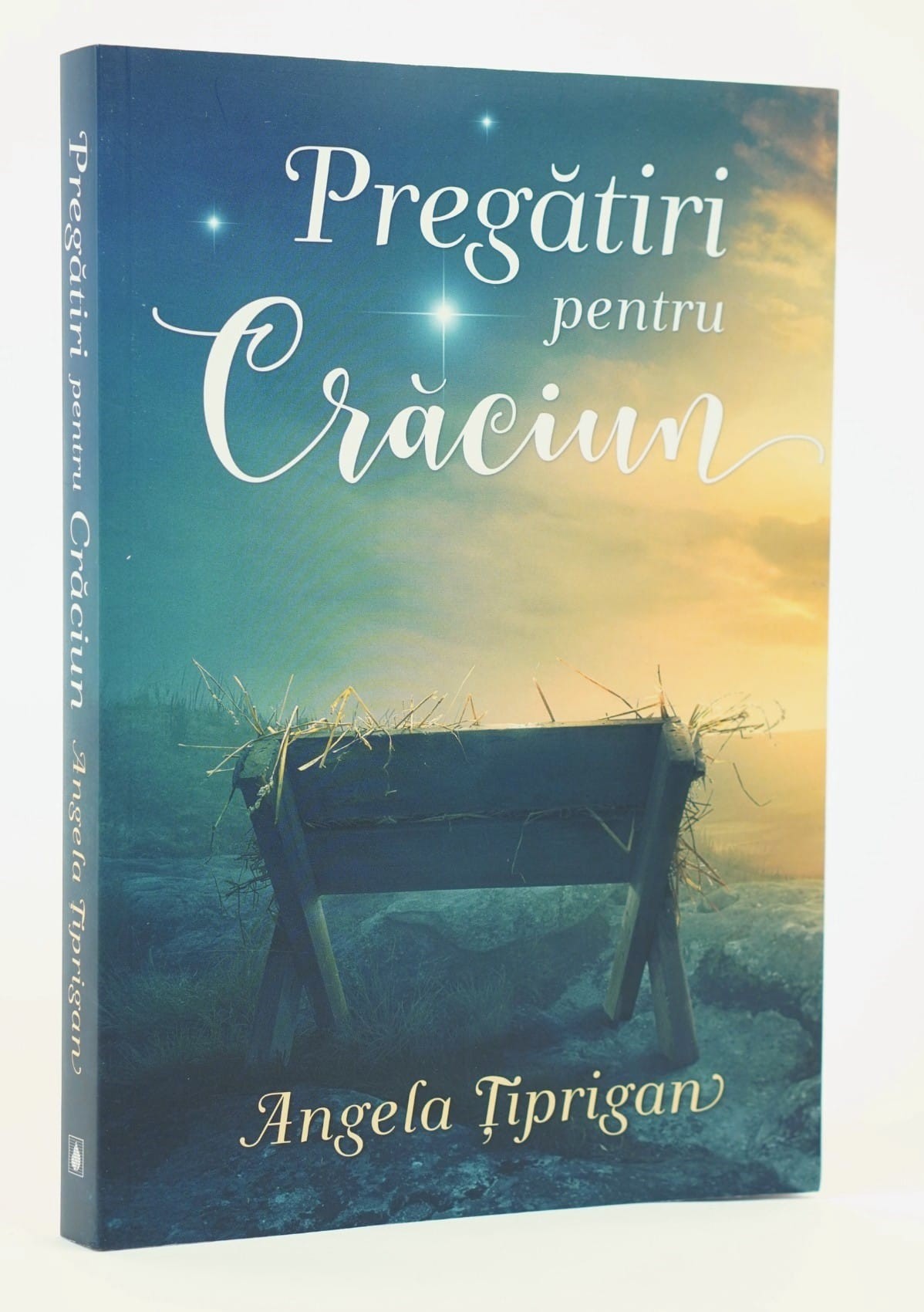 Pregătiri pentru Crăciun - Angela Țiprigan