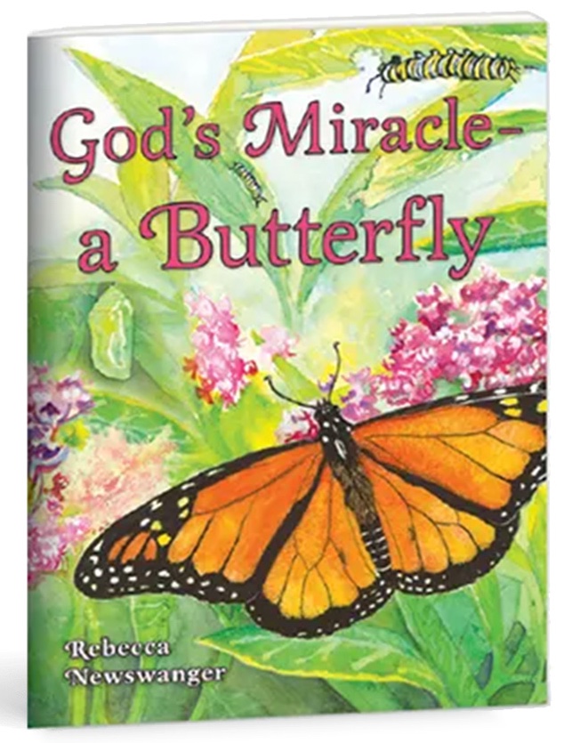 God’s Miracle – A Butterfly