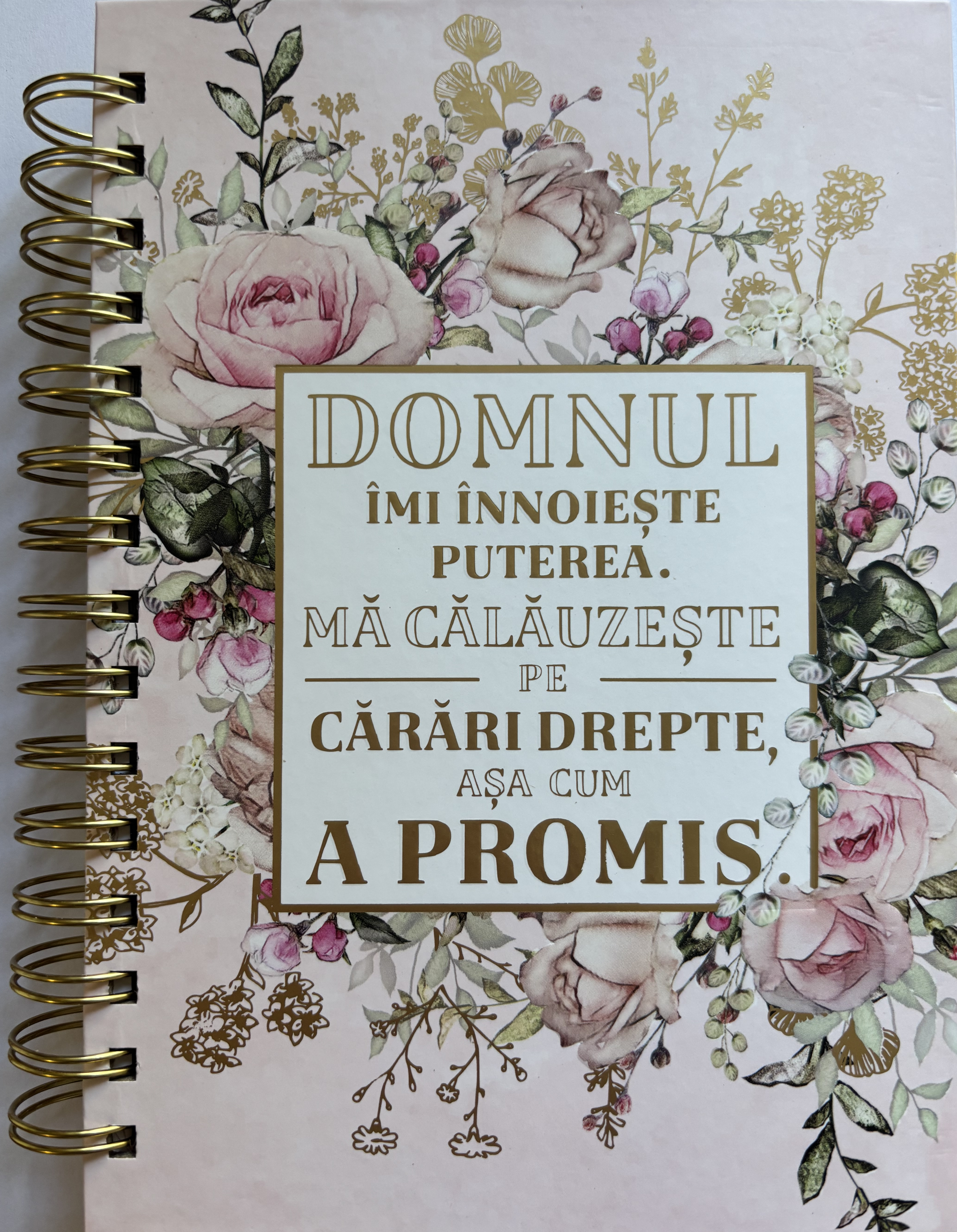 Jurnal: Domnul imi innoieste puterea, ma calauzeste pe carari drepte asa cum a promis